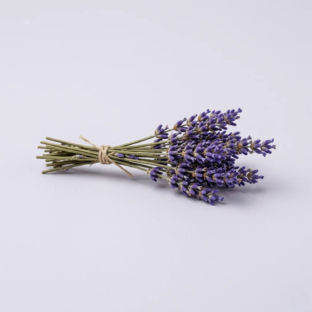 Lavendel